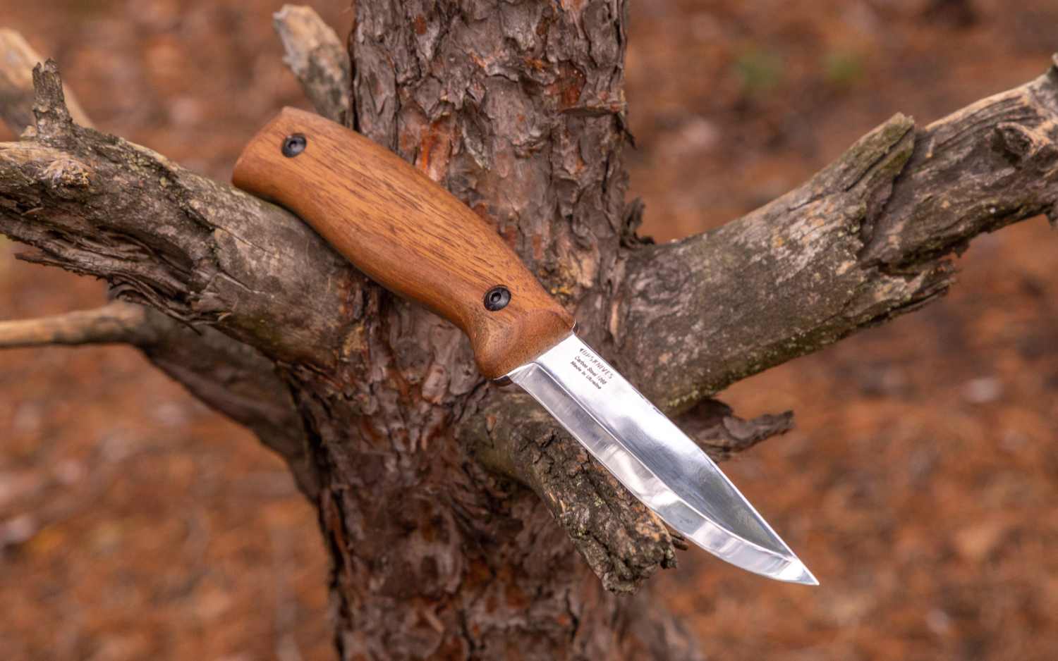 BS3 CSH від BPS Knives