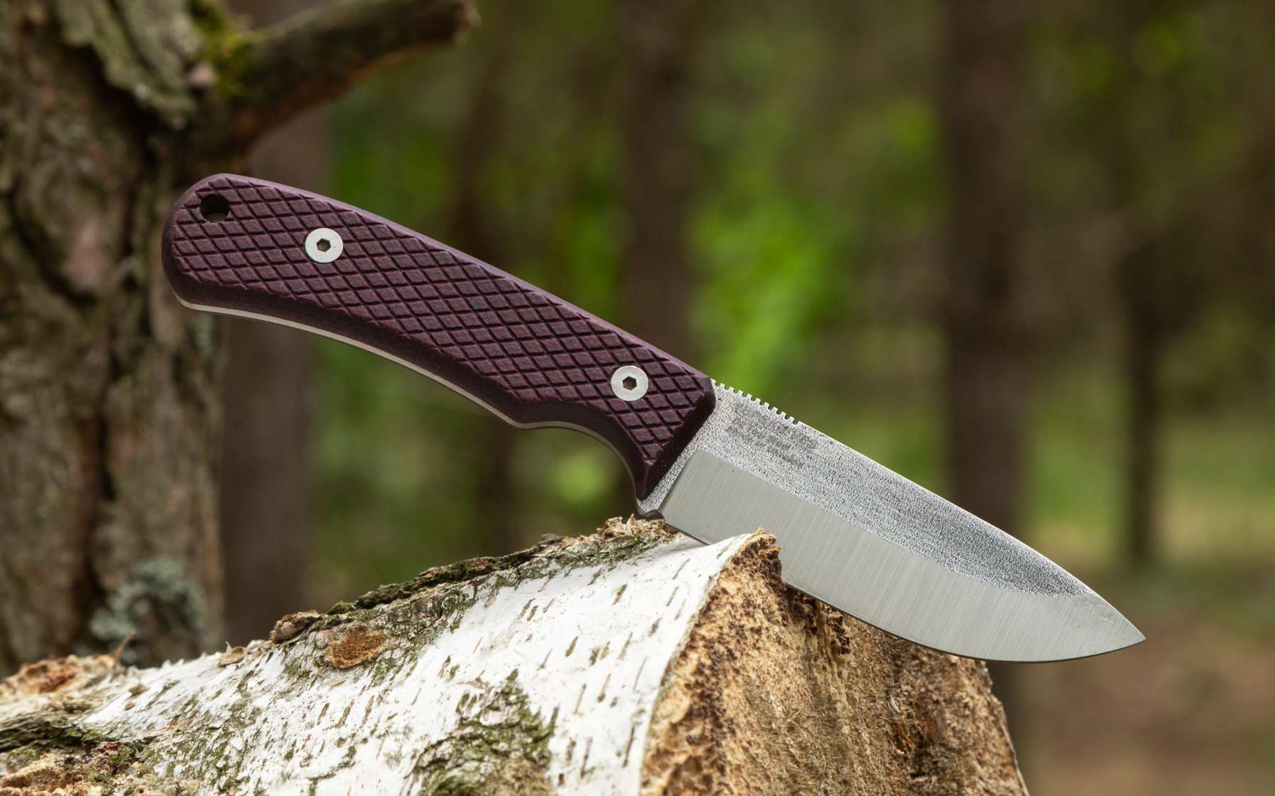 Beta from BPS Knives