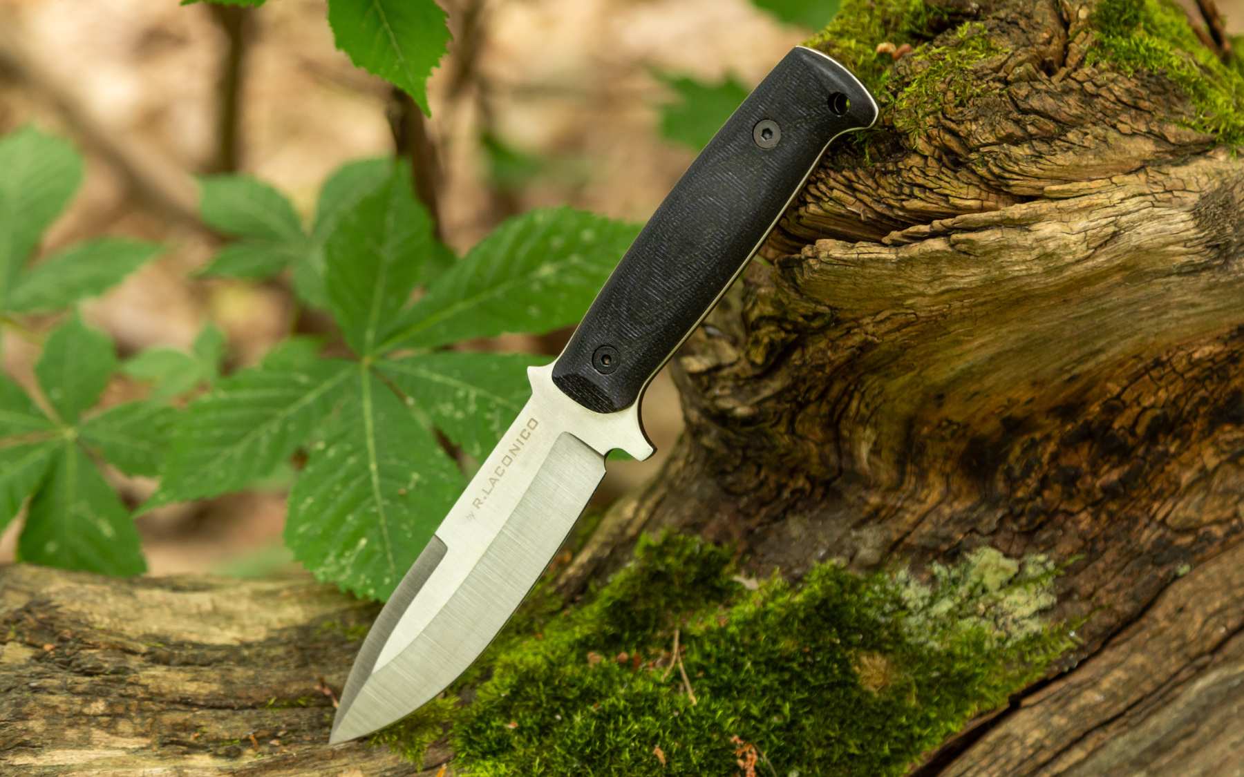 Stingray from BPS Knives