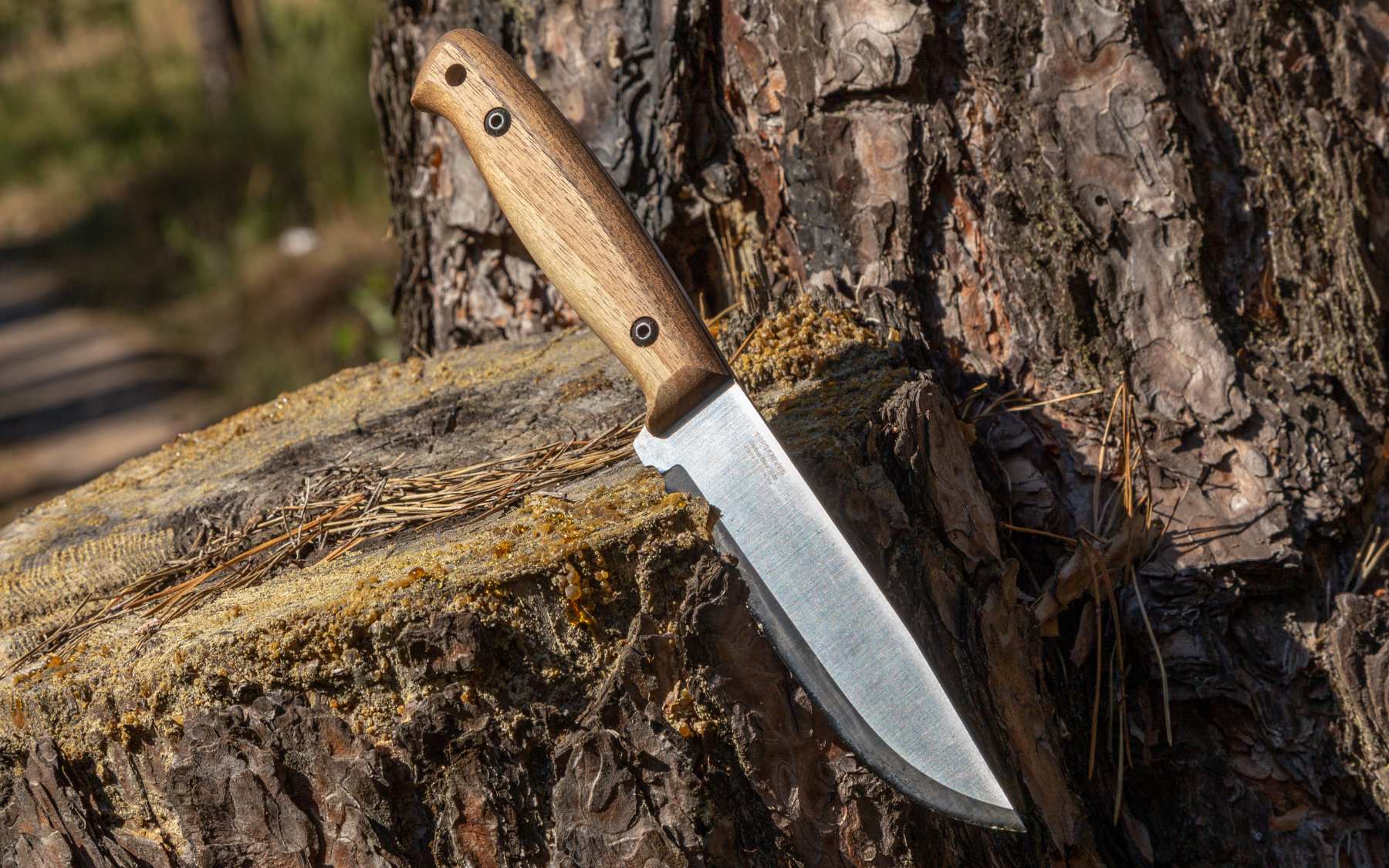 Adventurer CSHF from BPS Knives