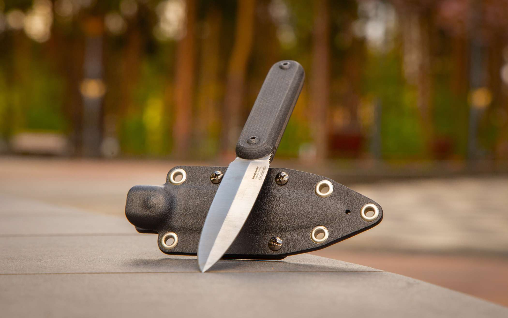 Citizen SSH від BPS Knives