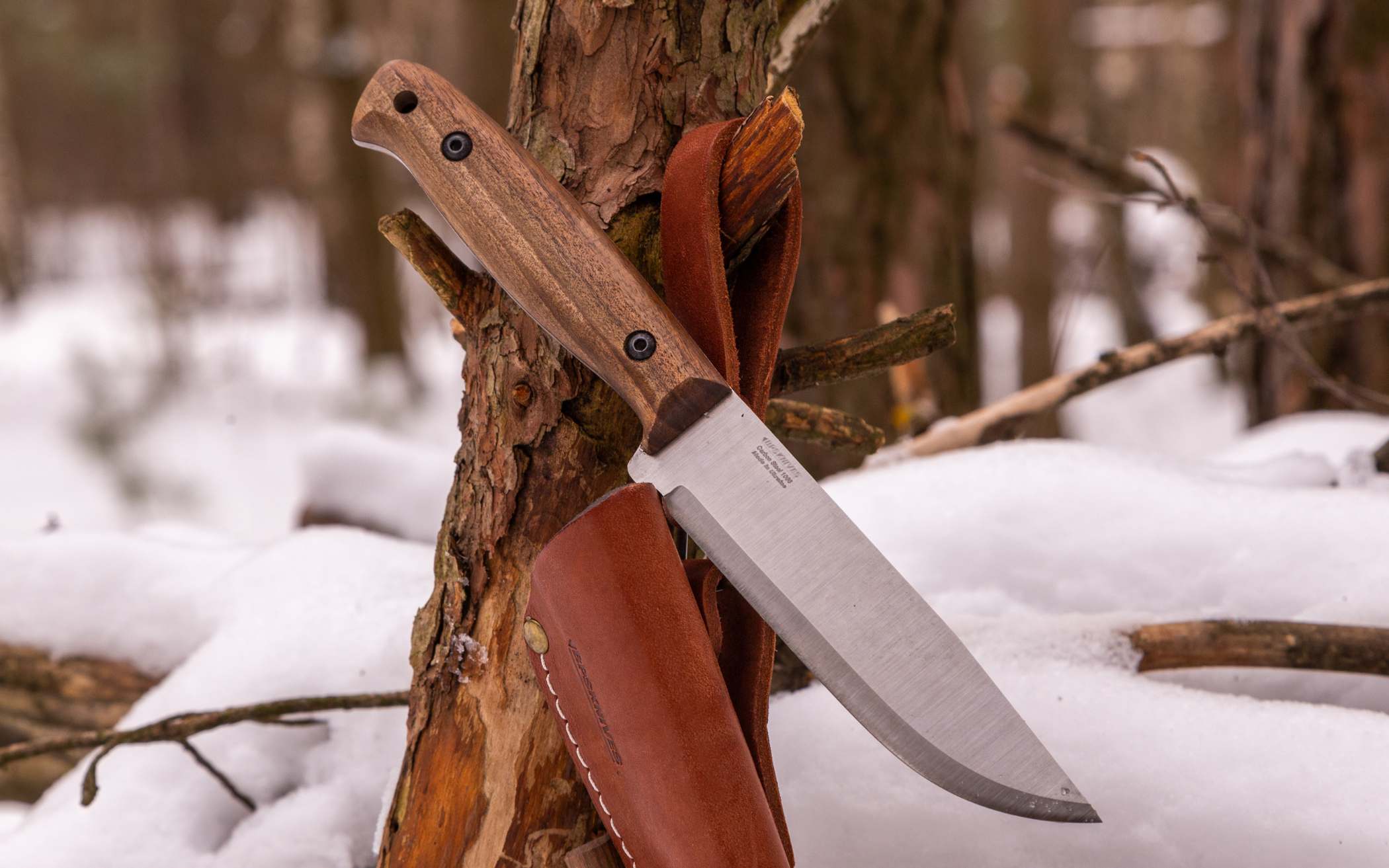 Adventurer CSHF
