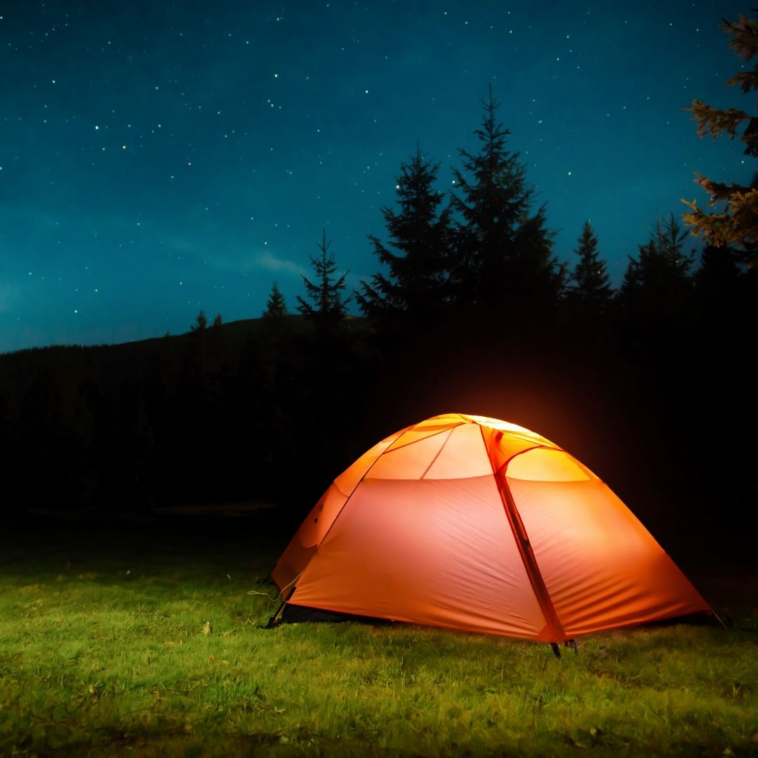 Night Camp